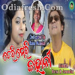 Teri Meri Kahani - Sambalpuri Song By Sonu, Anamika Acharya